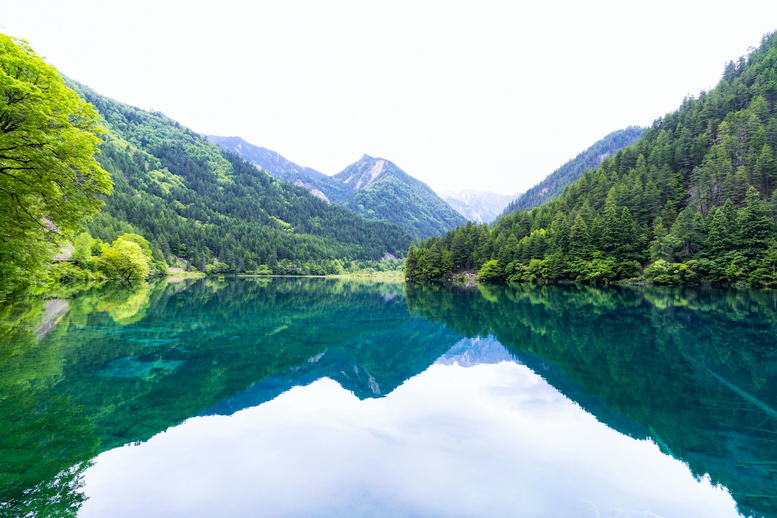 Clear alpine lake in Jiuzhaigou